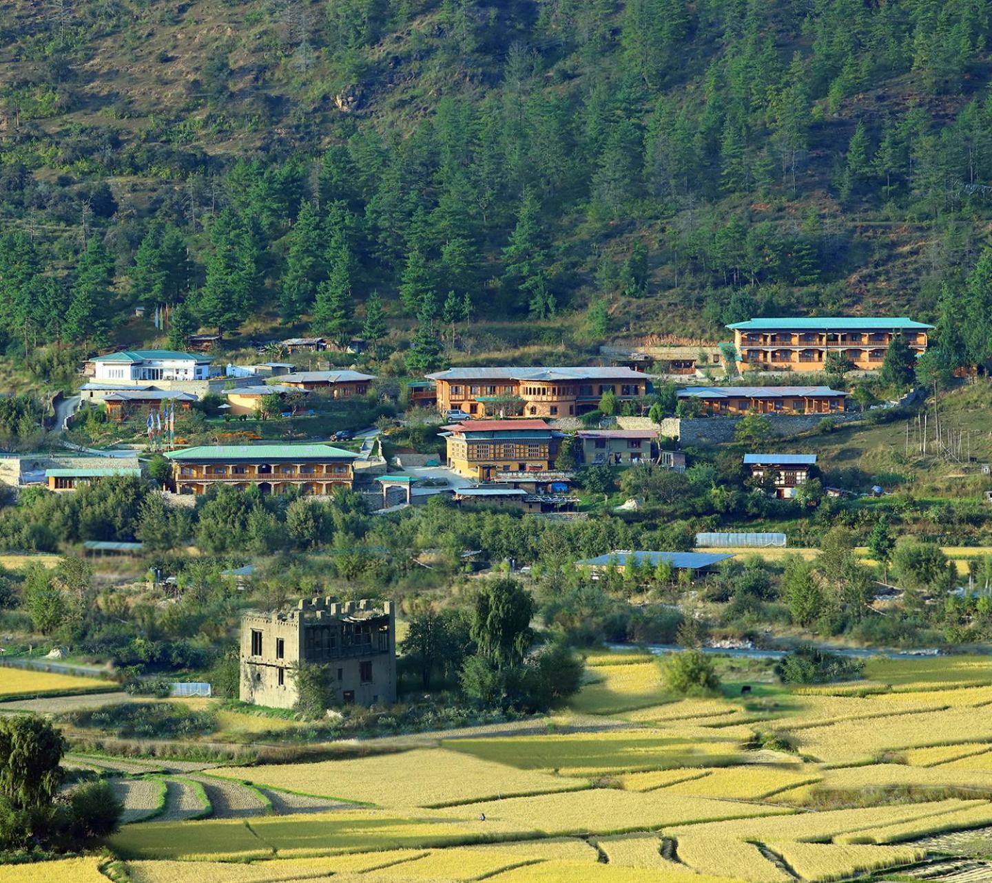 Rema Resort Paro Eksteriør bilde